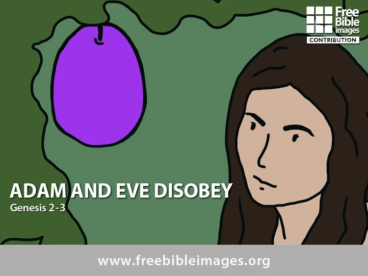 ହବା ଆଦମ୍‌