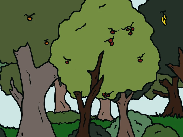 ହବା ଆଦମ୍‌6