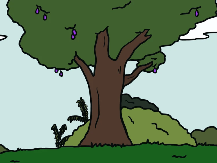 ହବା ଆଦମ୍‌7