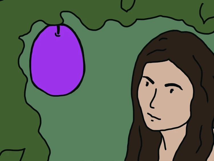 ହବା ଆଦମ୍‌11