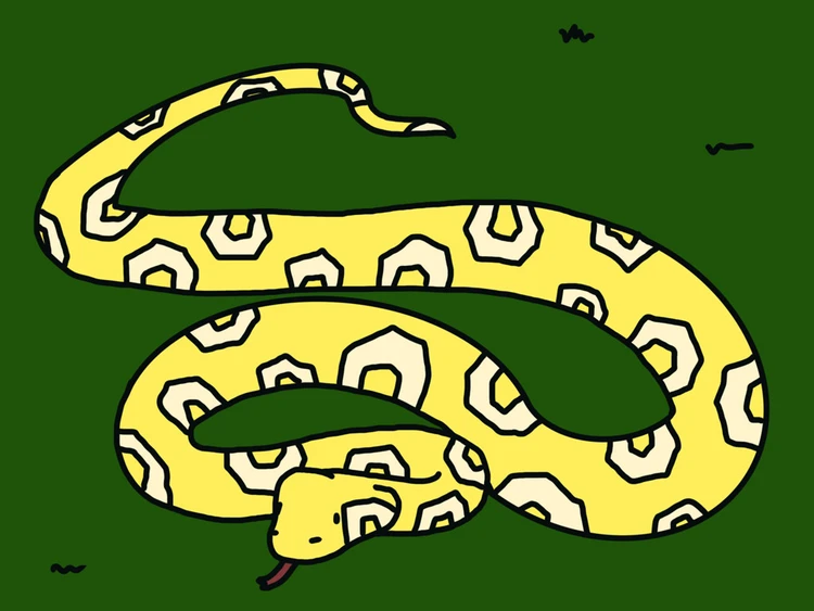 ହବା ଆଦମ୍‌19